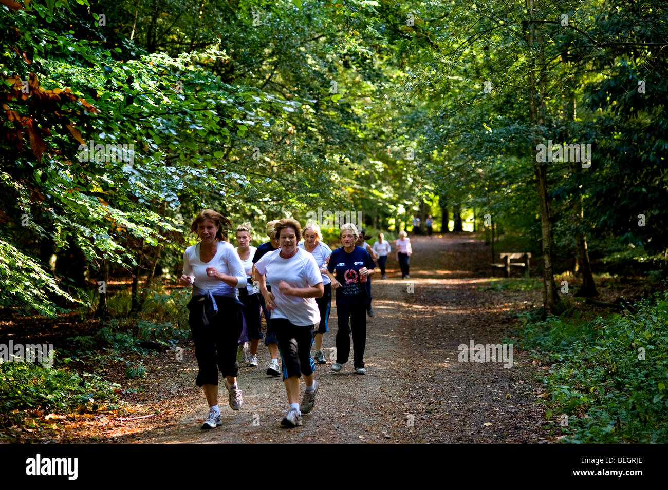 Runners in Thorndon Park in Essex.  Photo by Gordon Scammell Stock Photo