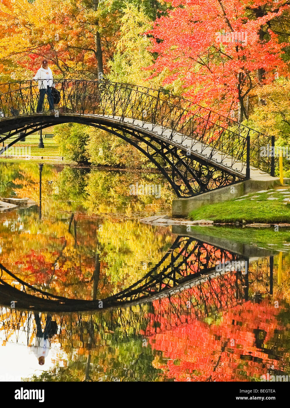 The bridge in Elm Park on a fall Day Stock Photo