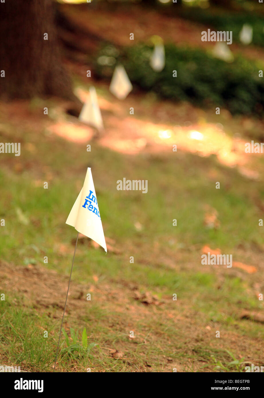 Training dog with invisible fence hires stock photography and images