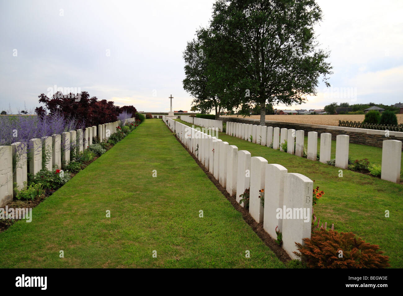 Lines of headstones in the Locre Hospice Commonwealth War Graves Commission Cemetery (CWGC) near Loker, Ieper, Belgium. Stock Photo