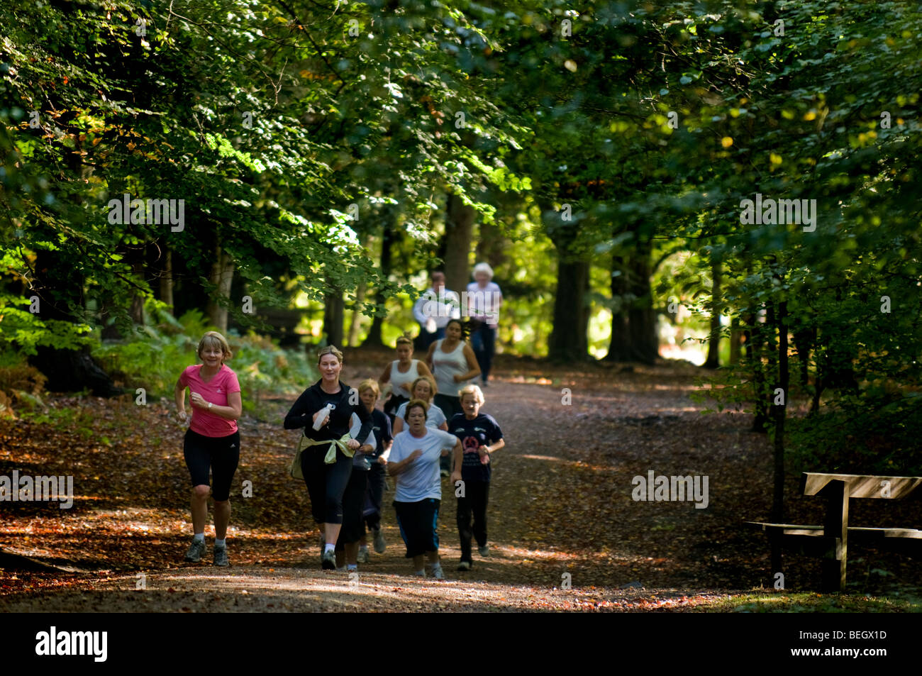 Runners in Thorndon Park in Essex.  Photo by Gordon Scammell Stock Photo
