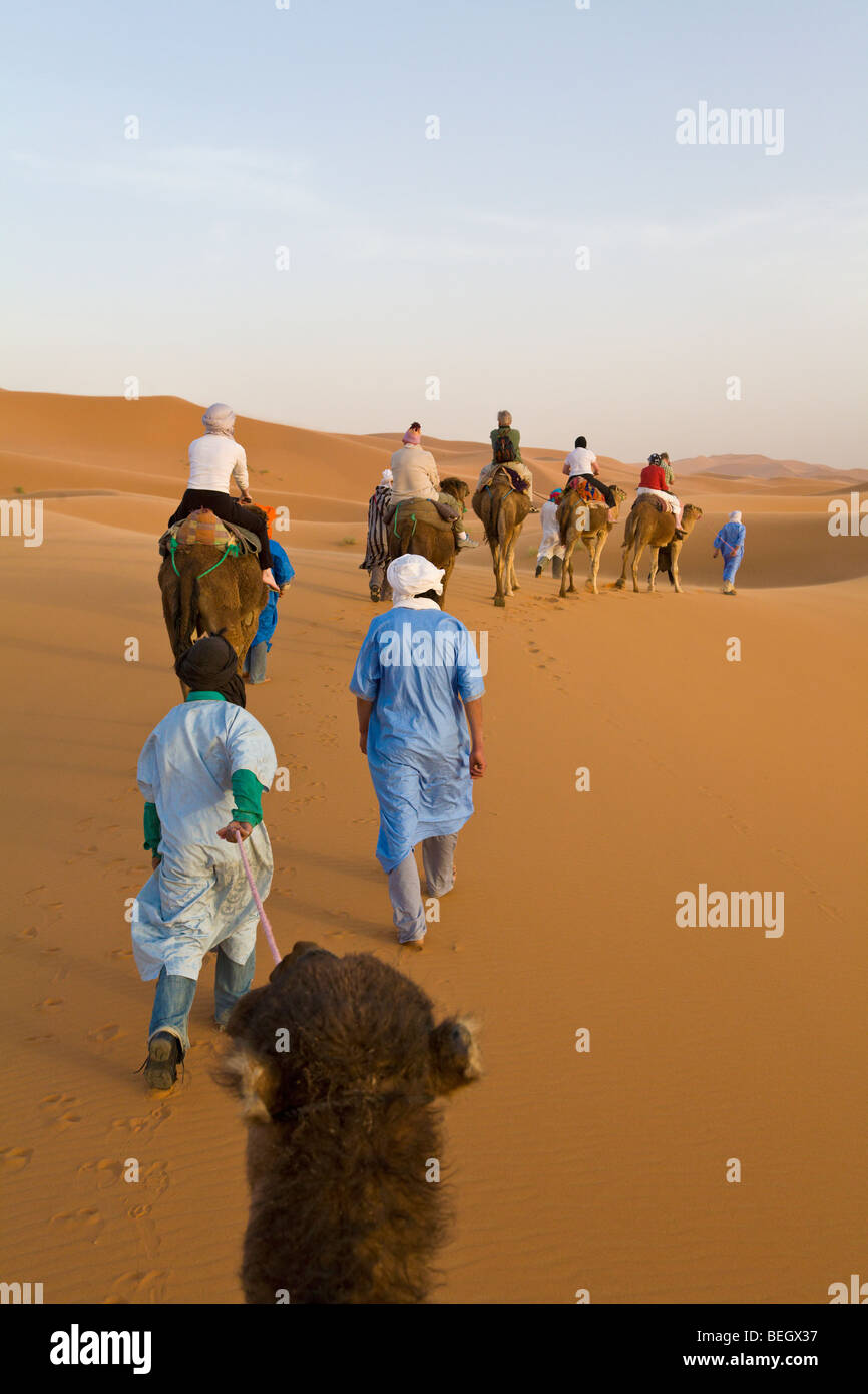 Tourists on a camel ride Merzouga Dunes Sahara Morocco Stock Photo