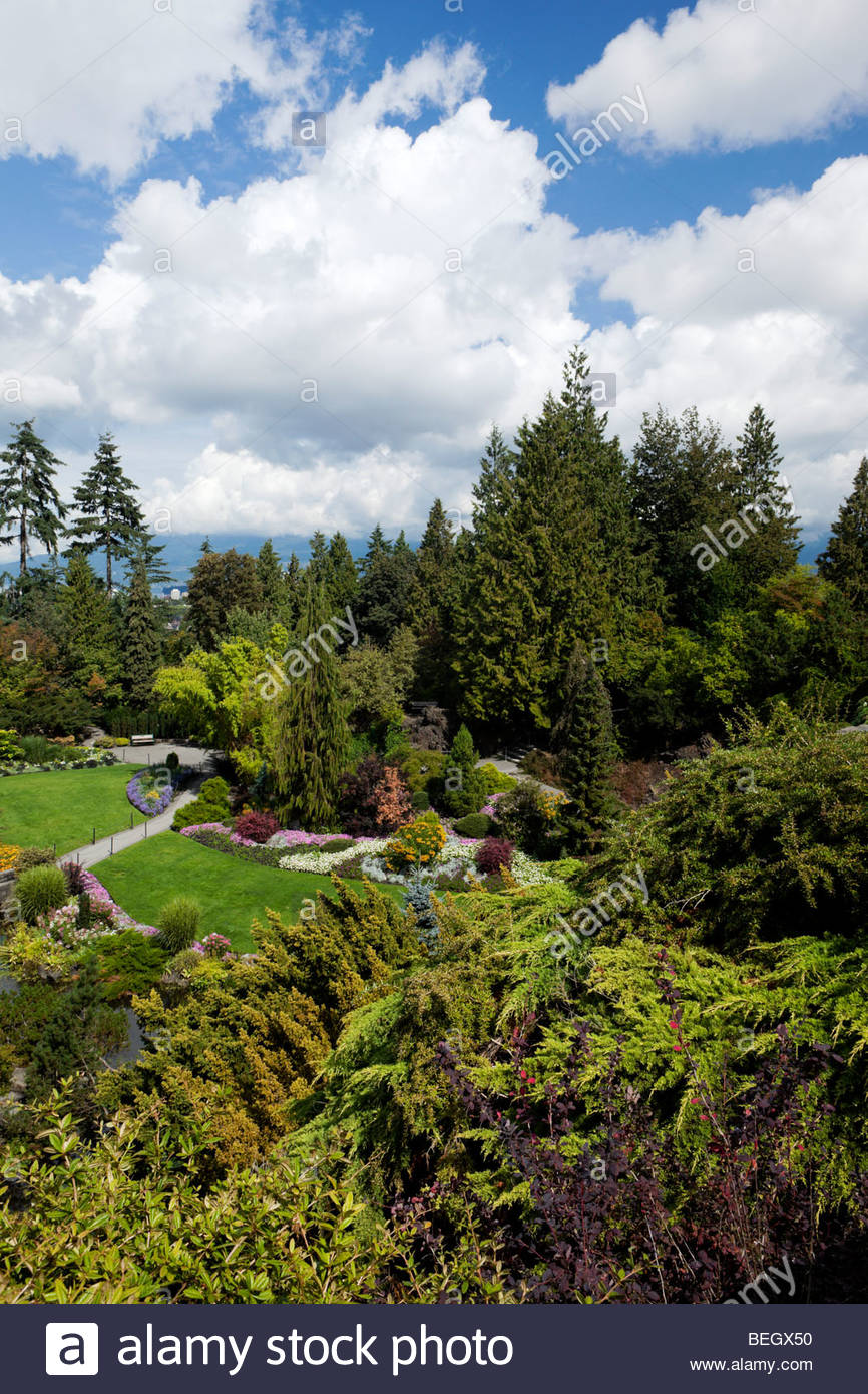 Large Garden Shrubs High Resolution Stock Photography and Images Alamy