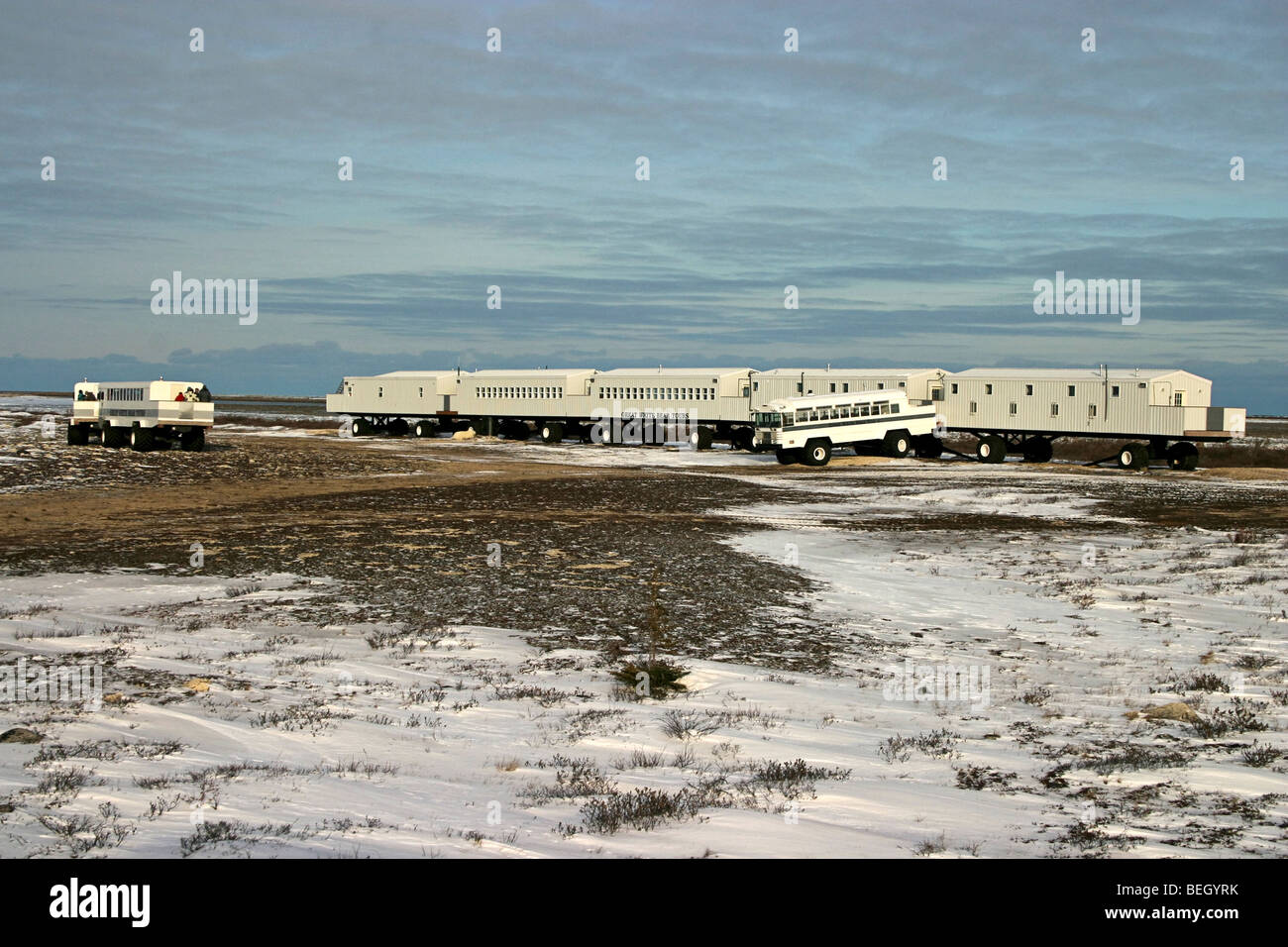 Tundra Buggies High Resolution Stock Photography and Images - Alamy