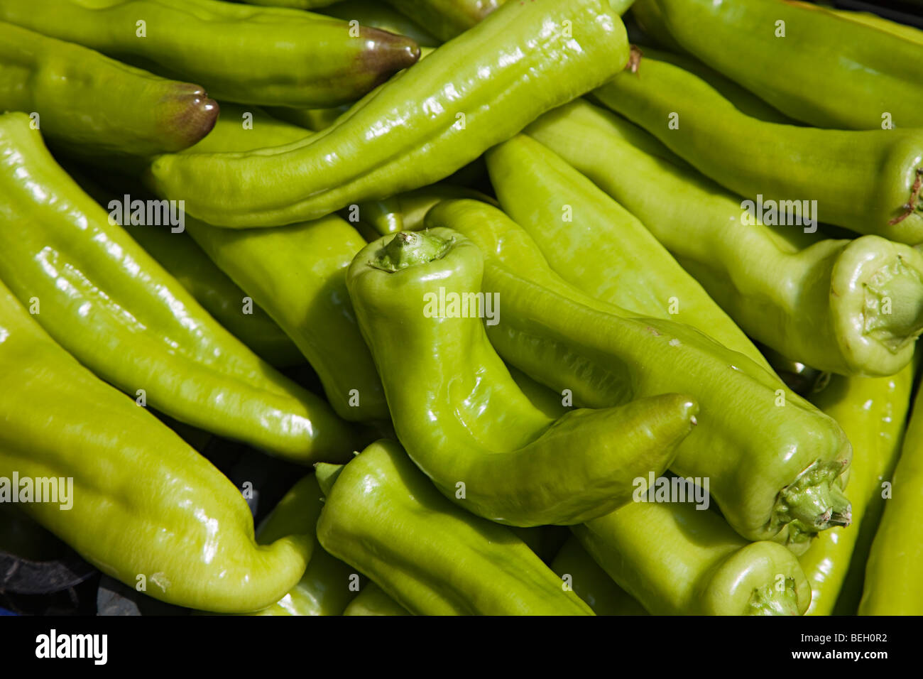 Green peppers on sale in market Mallorca Spain Stock Photo