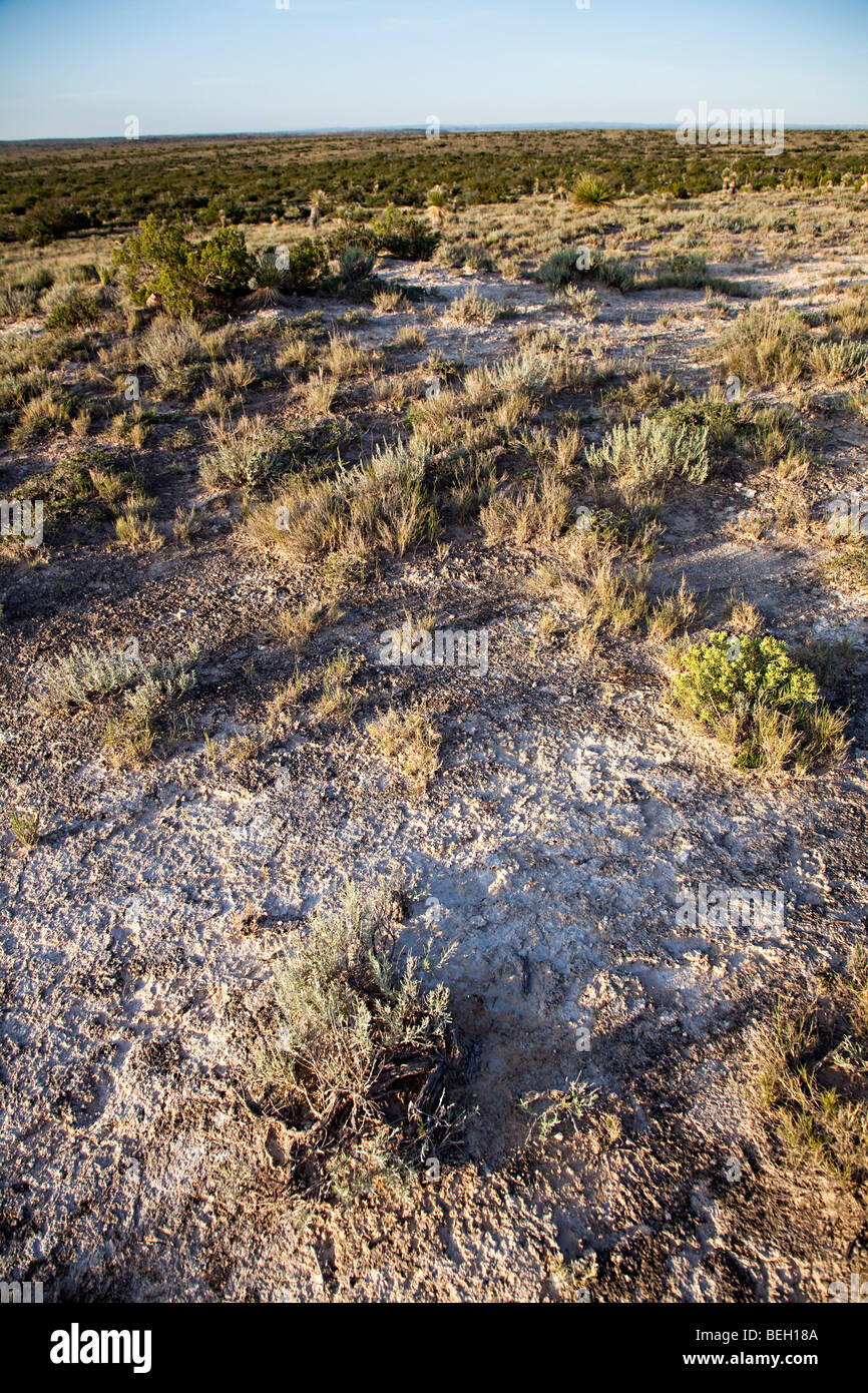Blm usa hires stock photography and images Alamy