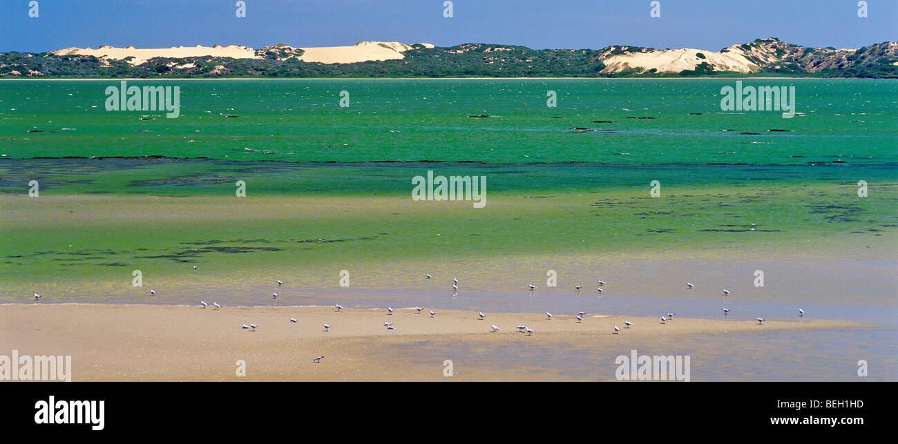 The Coorong, South Australia Stock Photo
