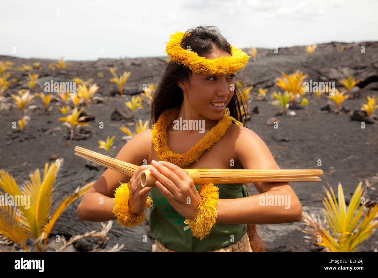 Young Hawaiian woman wearing traditional hula attire. Stock Photo