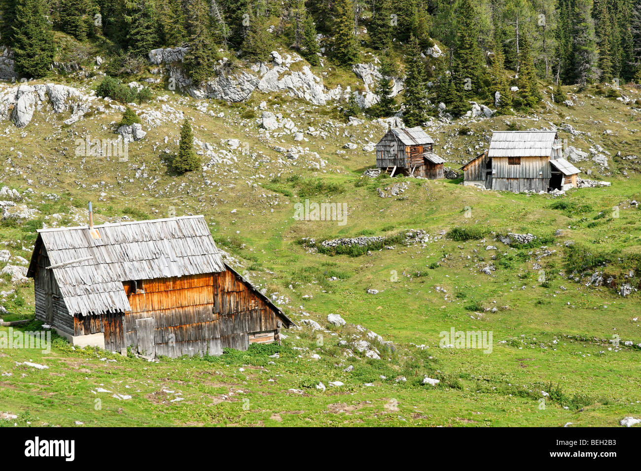 Planina Dedno Polje in the Julian Alps, Slovenia. Stock Photo