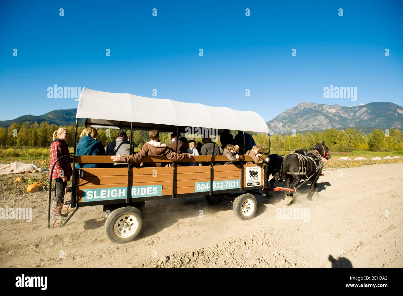 Horse and carriage rides. The North Arm Farm, Pemberton BC, Canada