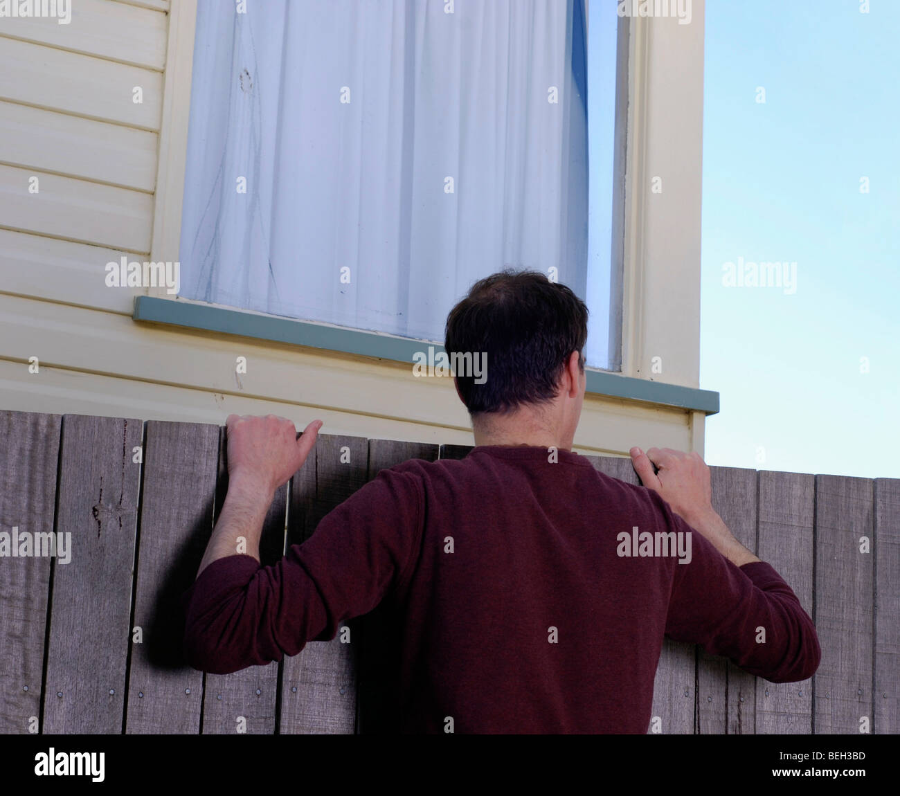 Nosy neighbour looking over garden fence Stock Photo - Alamy