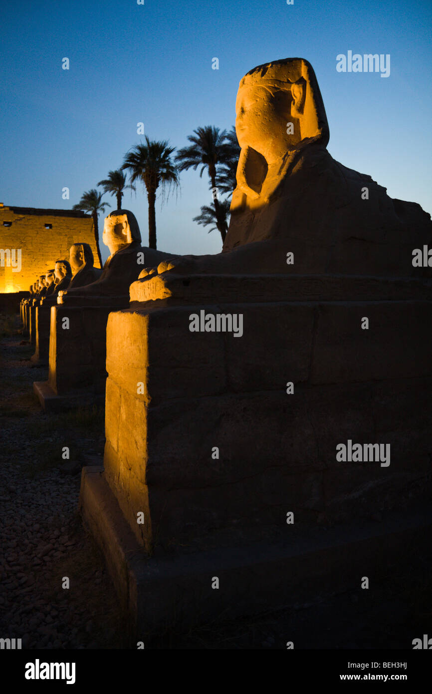 Illuminated Alley of Sphinxes at Luxor Temple, Luxor, Egypt Stock Photo