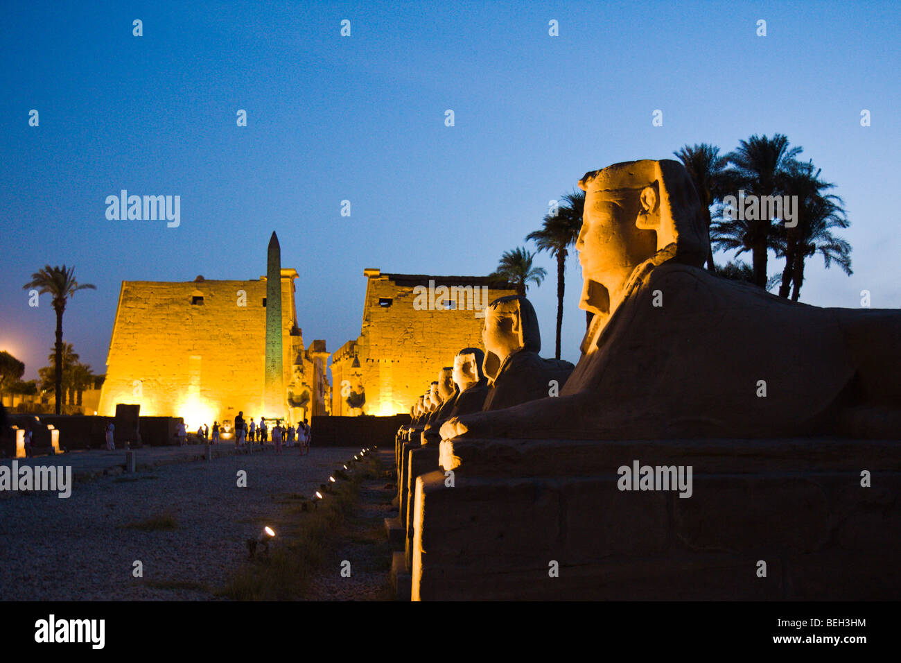 Illuminated Alley of Sphinxes at Luxor Temple, Luxor, Egypt Stock Photo