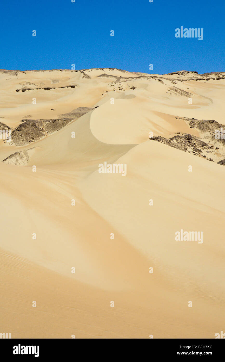 Sand Dune in Libyan Desert, Libyan Desert, Egypt Stock Photo
