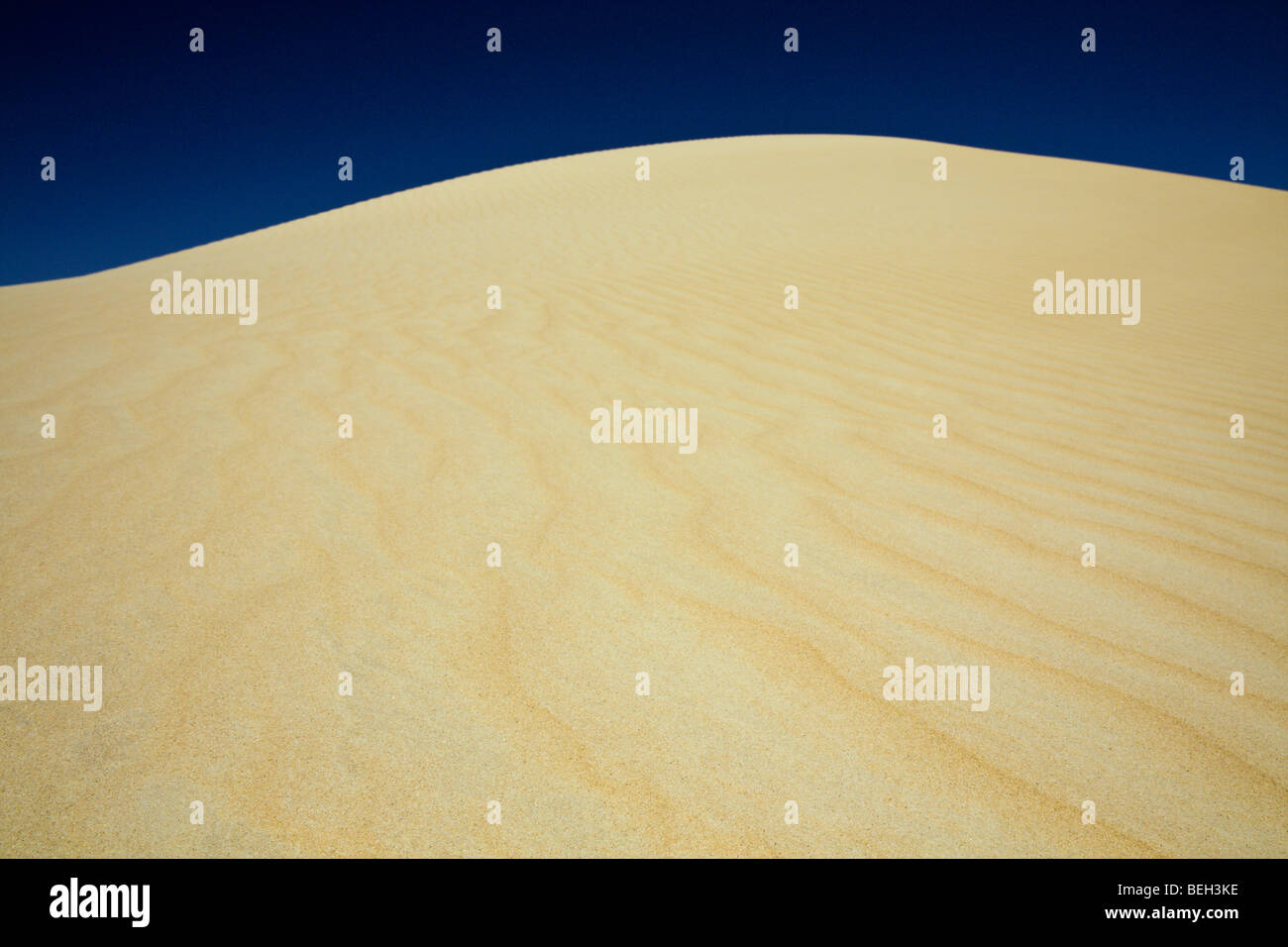 Sand Dune in Libyan Desert, Libyan Desert, Egypt Stock Photo