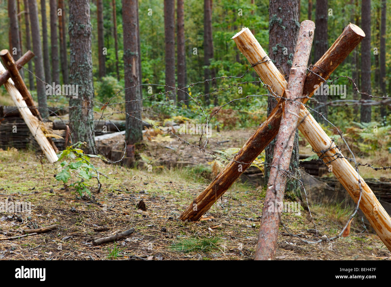 Barbed wire over trench in forest Stock Photo