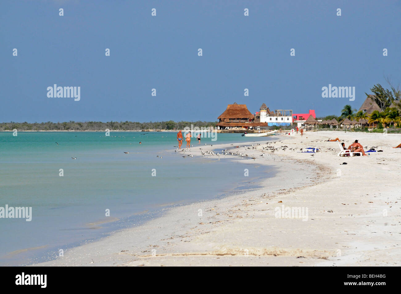 Beach of Holbox Island, Yucatan Peninsula, Caribbean Sea, Mexico Stock Photo