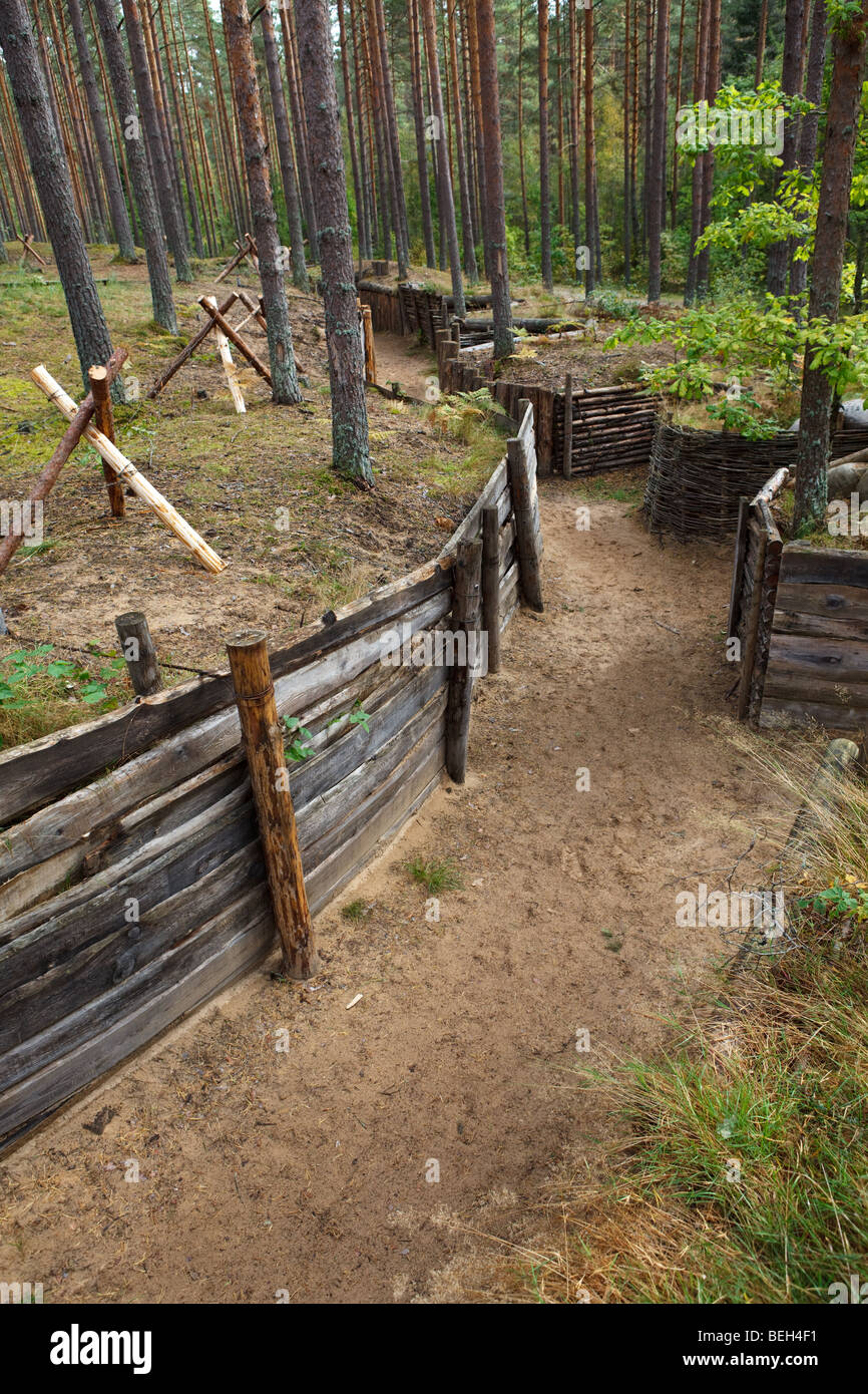 Trench in forest surrounded with barbed wire Stock Photo
