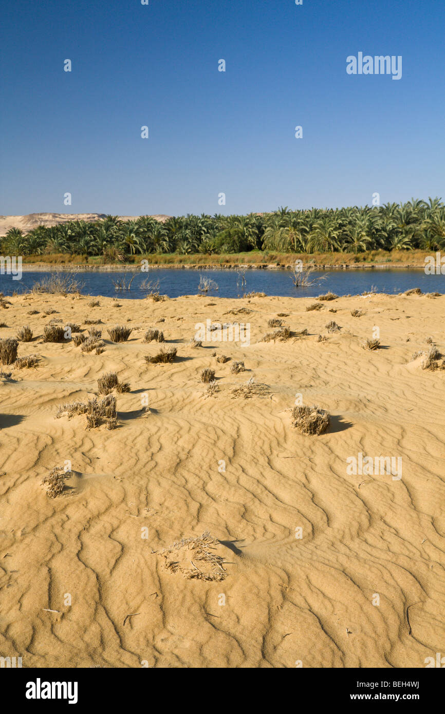 Sea of Bahariya Oasis, Libyan Desert, Egypt Stock Photo