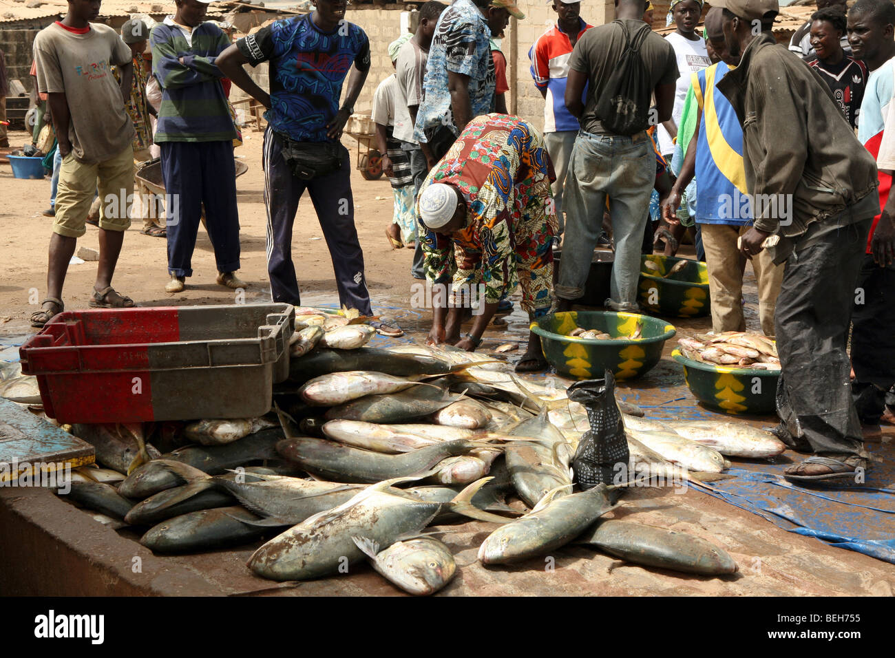 Tanje fish market, The Gambia Stock Photo Alamy