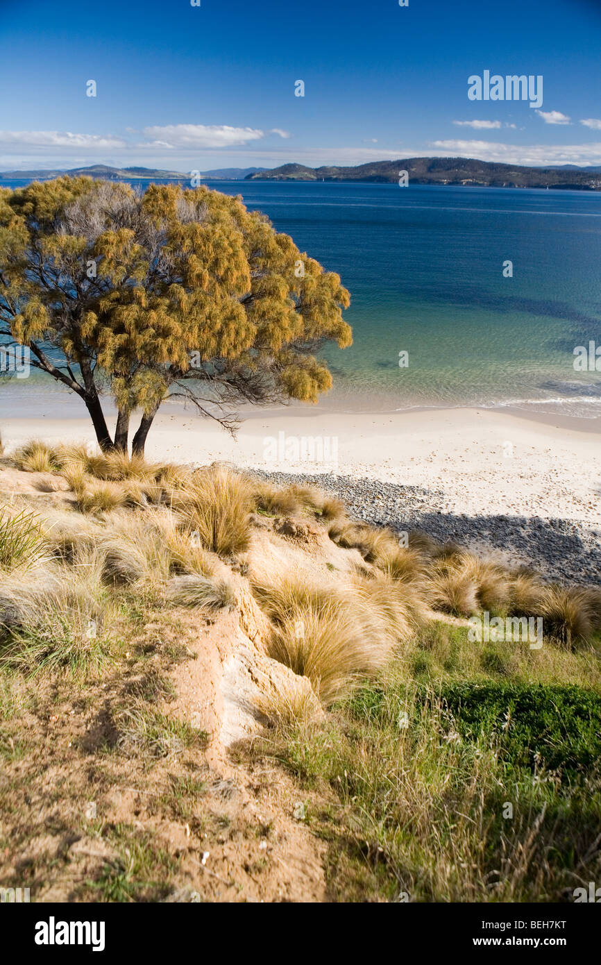 View over Mitchells Beach and the Derwent River Stock Photo