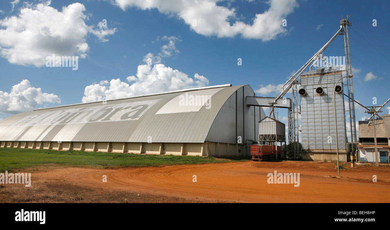 Brazil is the world's largest soybean producer. Where once rainforest