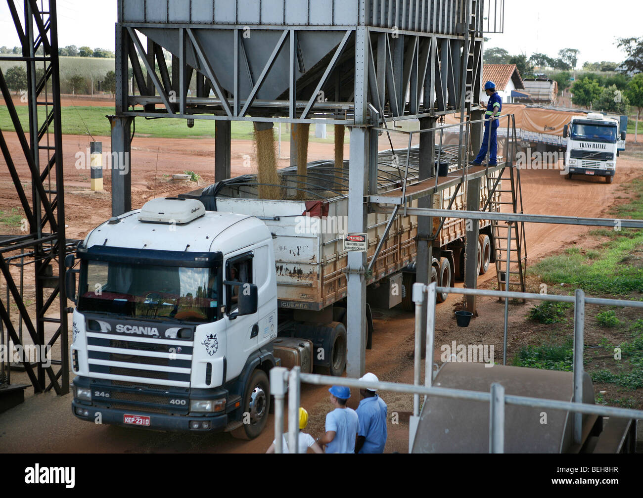 Brazil is the world's largest soybean producer. Where once rainforest