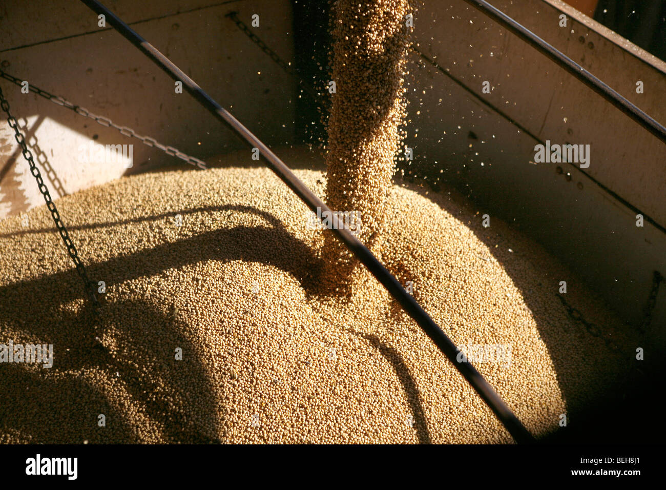 Brazil is the world's largest soybean producer. Where once rainforest