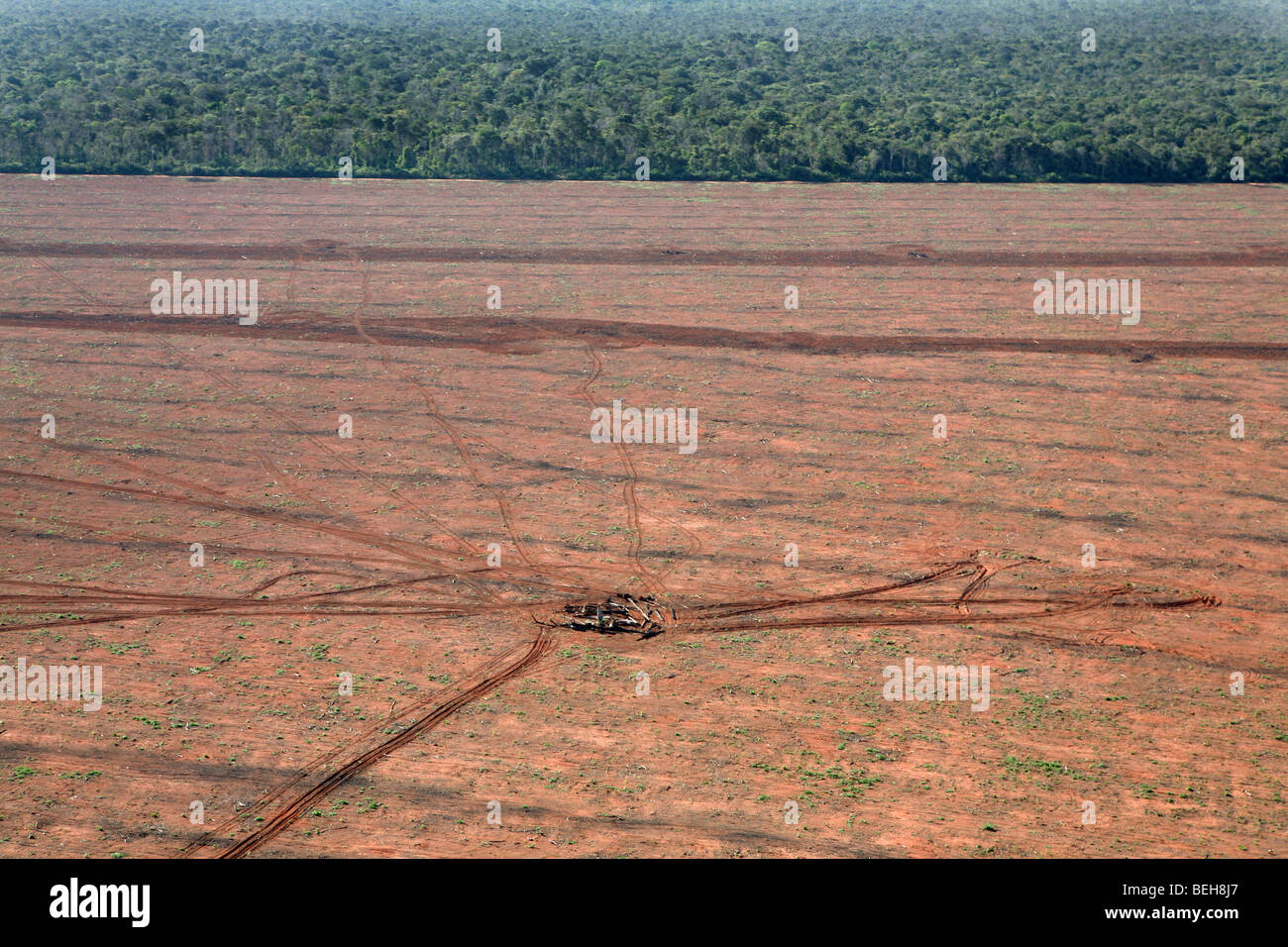 A lrage part of the Amazone has been destroyed and transferred into farmland. The main crops being cultivated are soya, grass fo Stock Photo