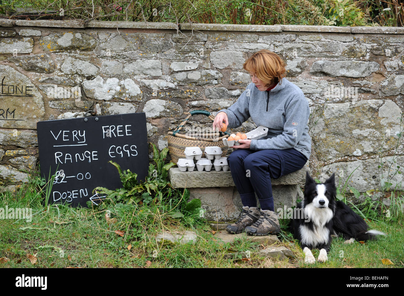 Woman buying self service free range eggs Stock Photo