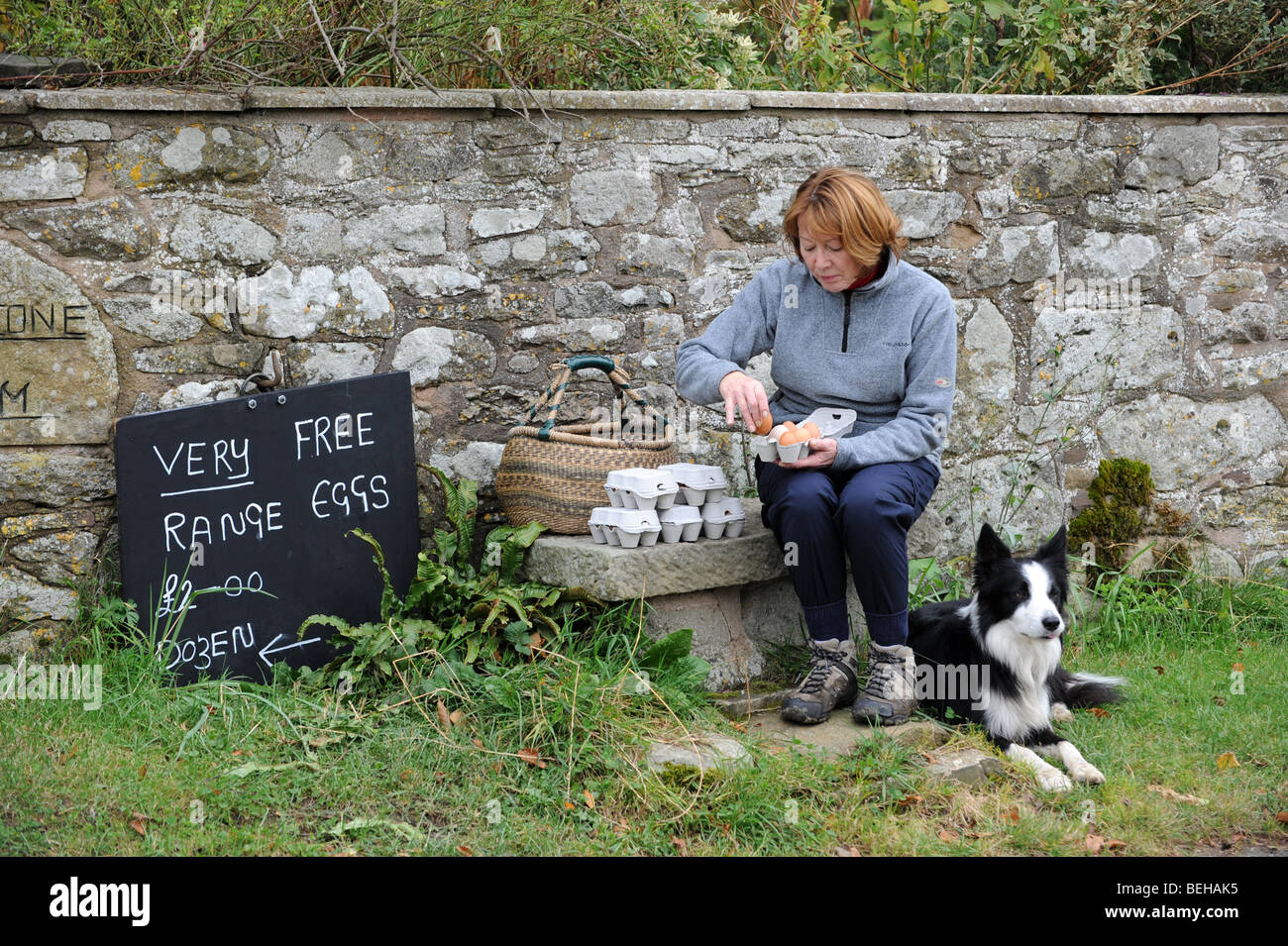 Woman buying self service free range eggs Stock Photo