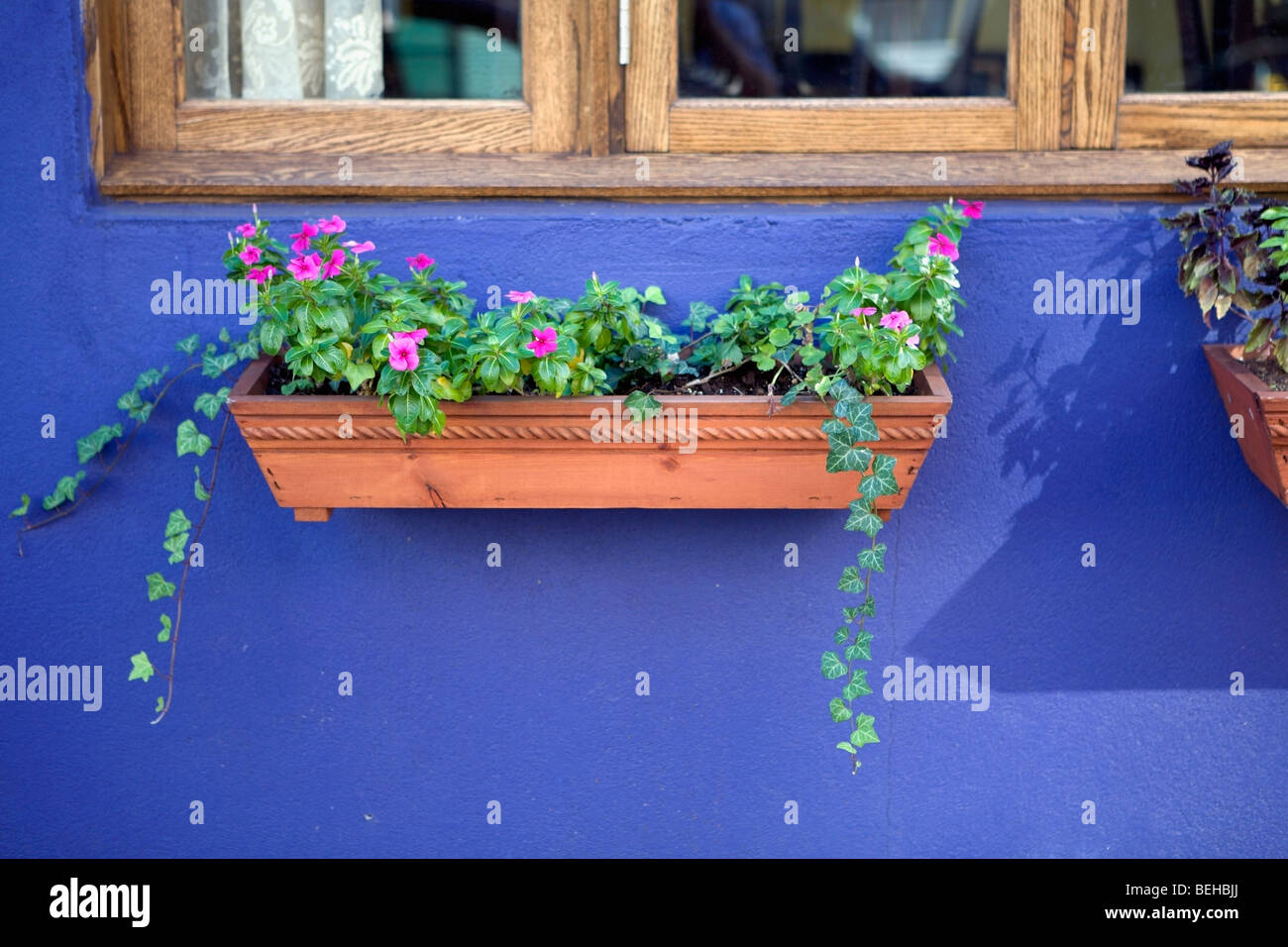 Potted plants under a window Stock Photo Alamy