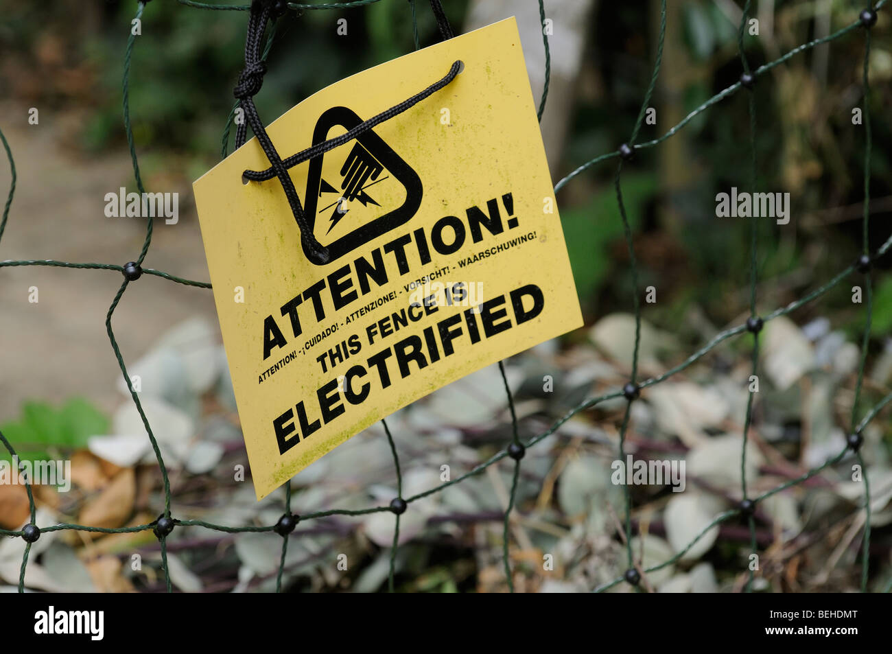 Three Types Of Electric Fences Explained America Fence atelieryuwa.ciao.jp