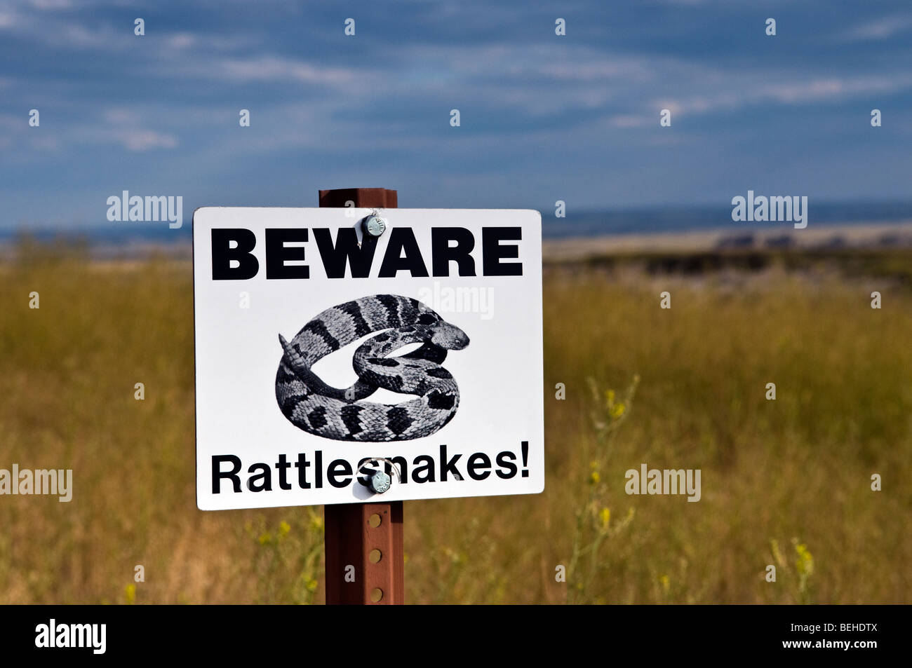 Beware rattlesnakes caution sign in the South Dakota mid-west grasslands Stock Photo