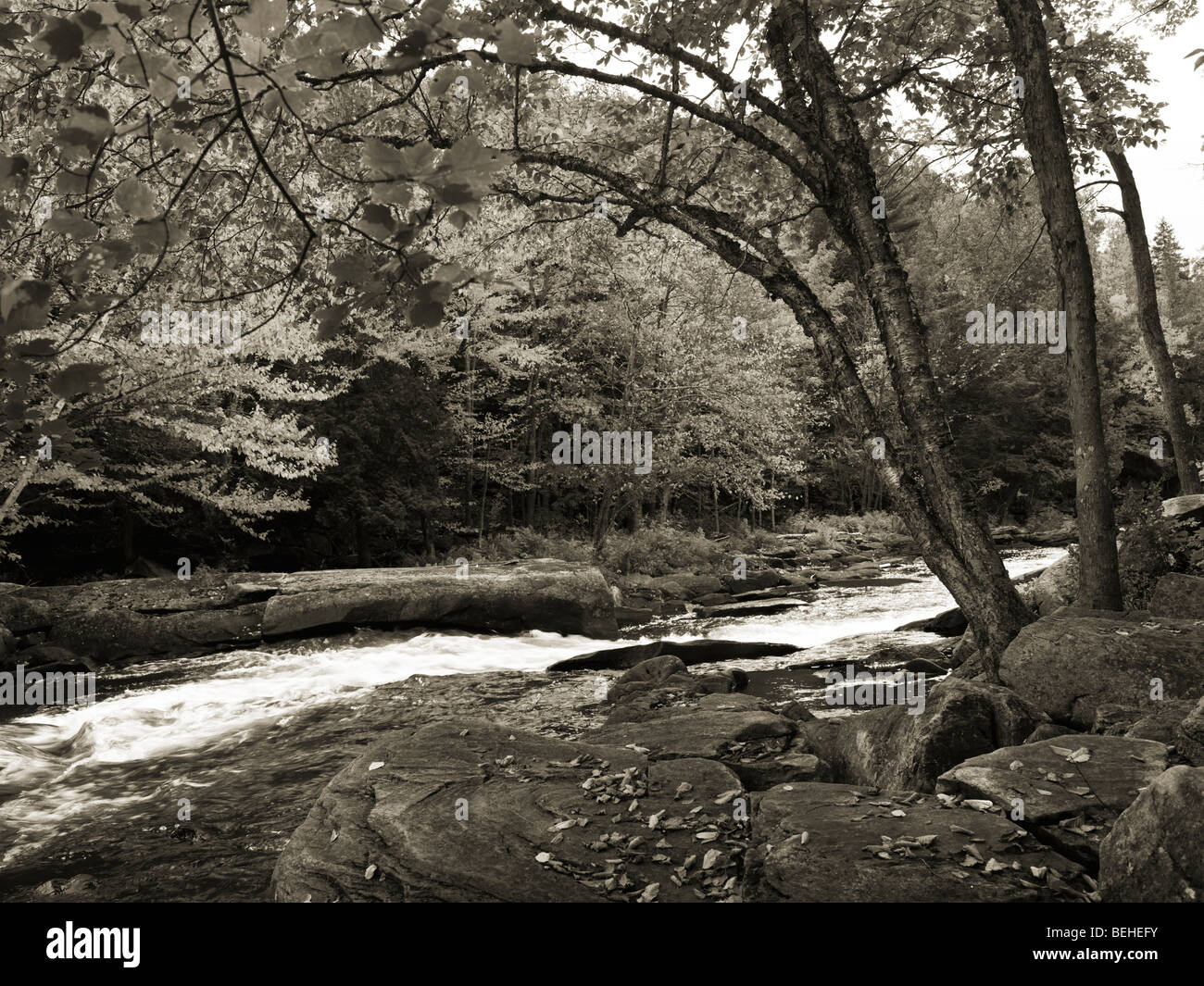 Oxtongue Rapids. Beautiful fall nature scenery. Algonquin, Muskoka, Ontario, Canada. Stock Photo