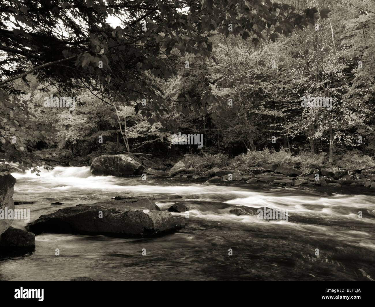 Oxtongue Rapids. Beautiful fall nature scenery. Algonquin, Muskoka, Ontario, Canada. Stock Photo