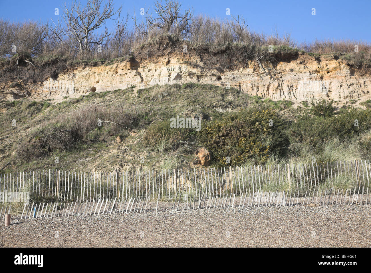 Suffolk Cliffs Fenced of section to stabilise eroded cliffs, Dunwich beach and cliffs ...