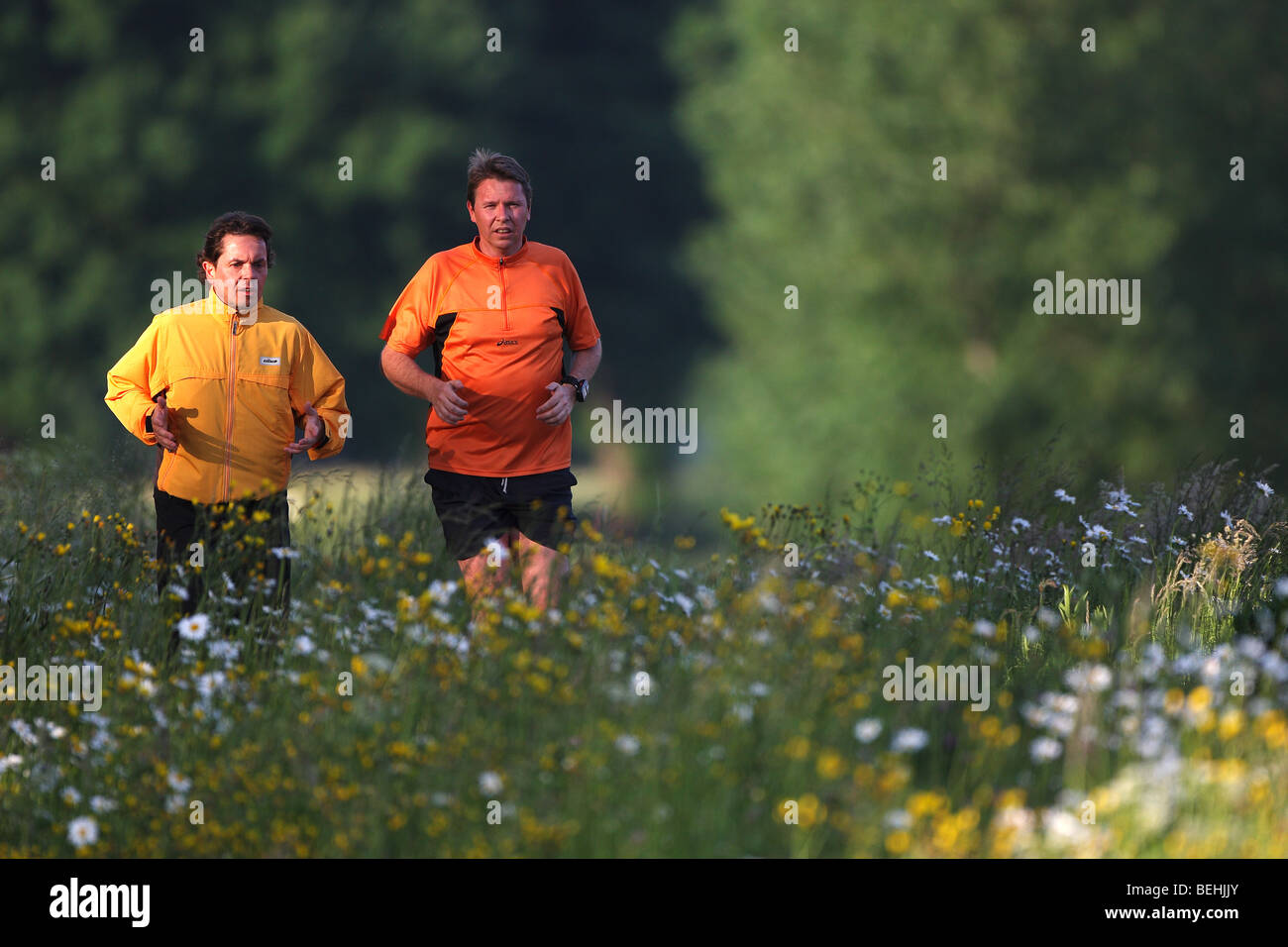 Joggers running on dike between flowers, Belgium Stock Photo - Alamy