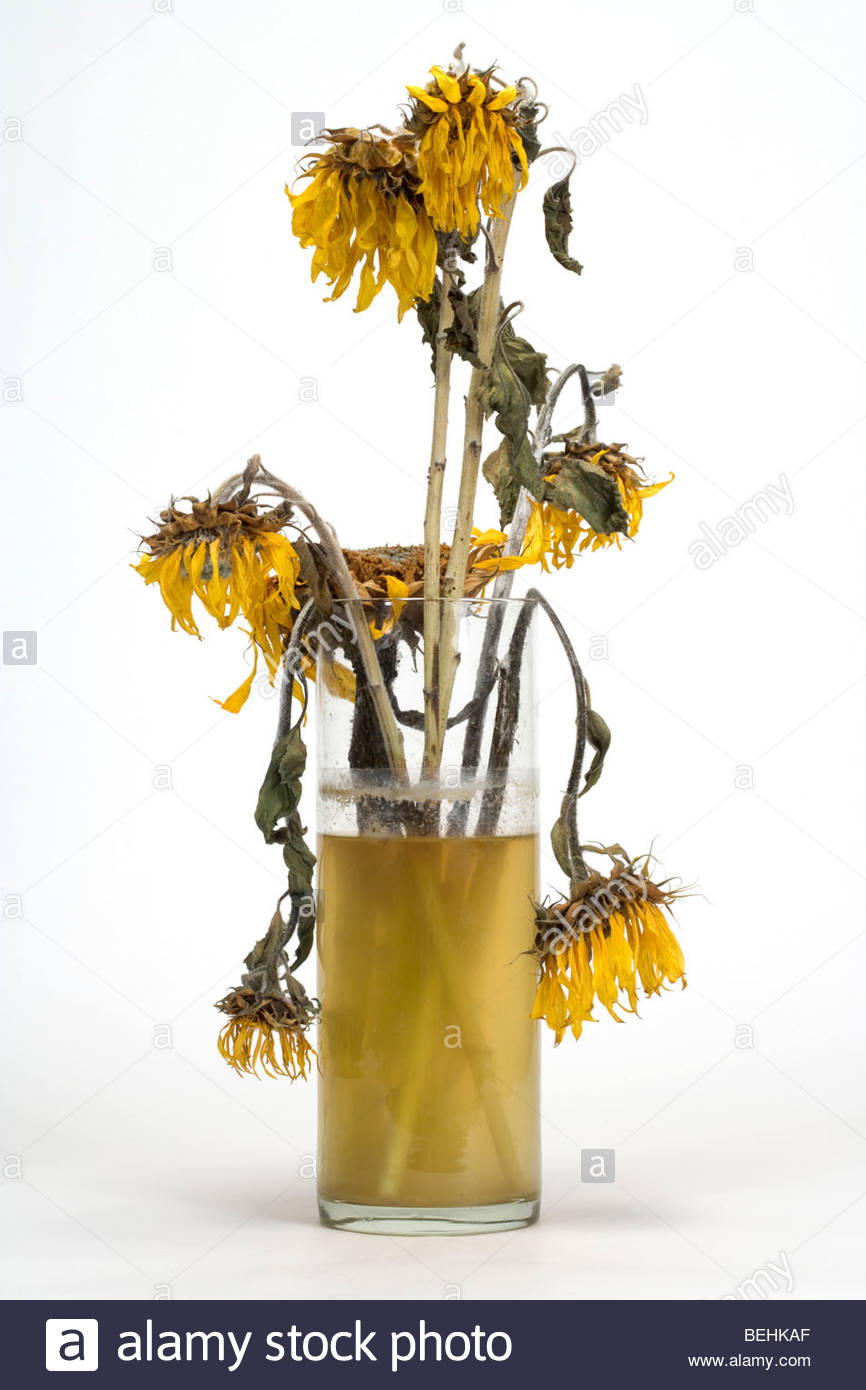 Dirty Water Stock Photos & Dirty Water Stock Images Alamy