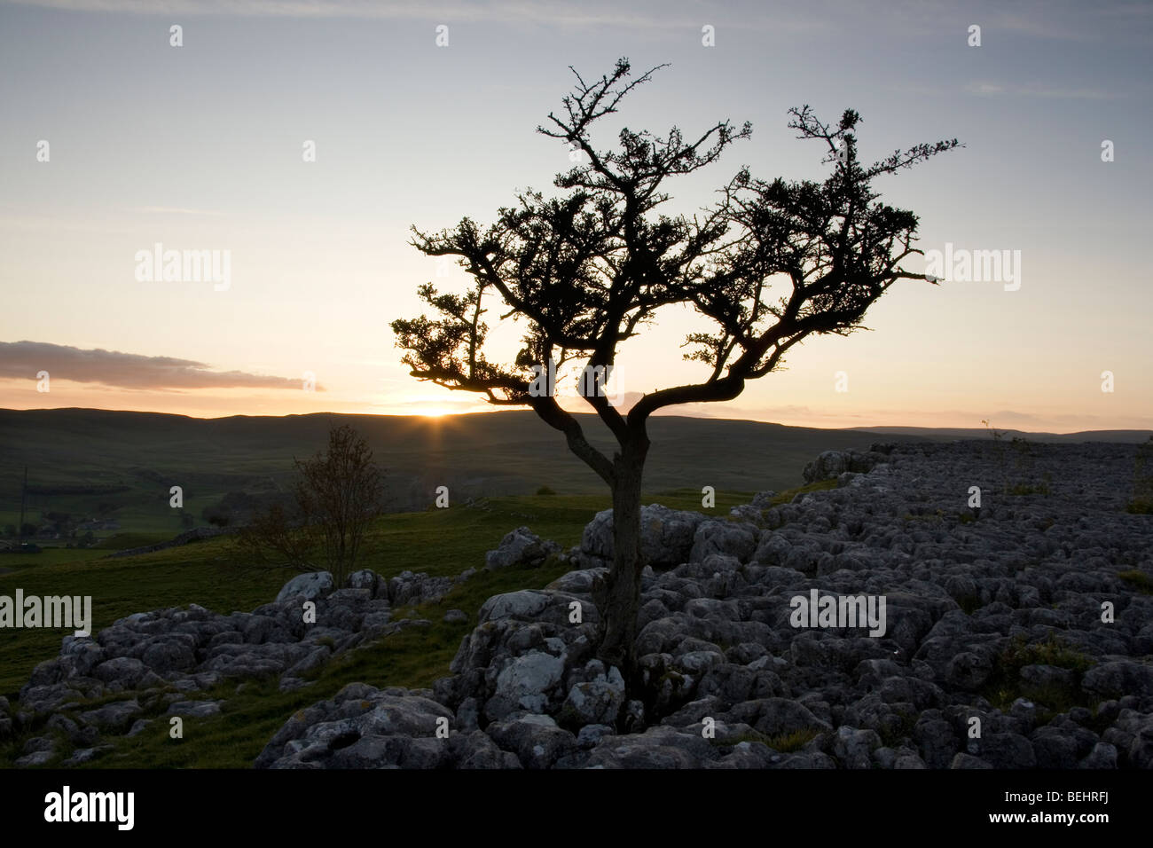 Limestone pavement near Conistone, Upper Wharfedale, in the Yorkshire Dales National Park, England Stock Photo