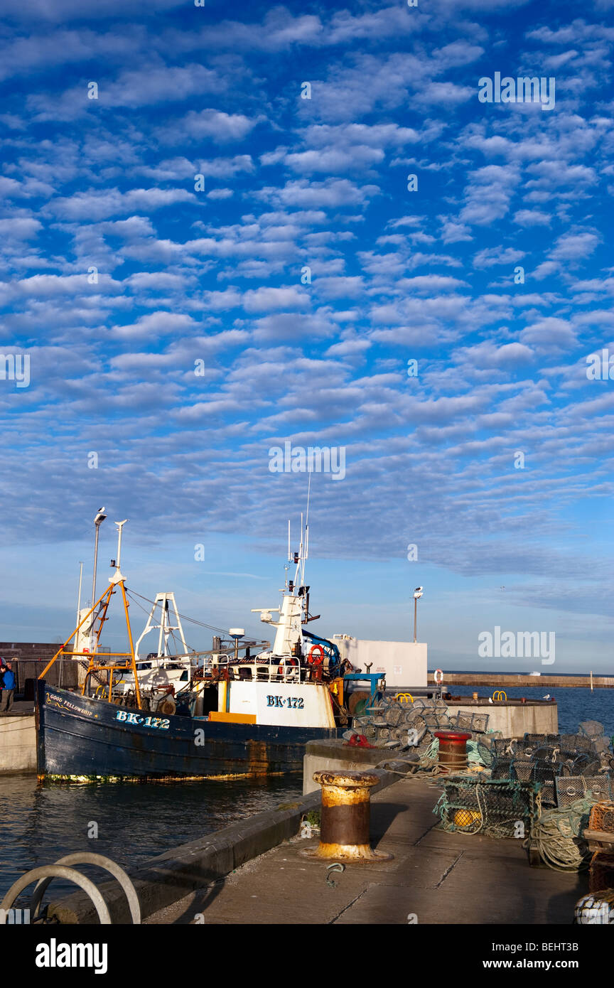 Seahouses Harbour in Northumberland,'North East',England, 'Great Britain','United Kingdom',GB,UK,EU Stock Photo
