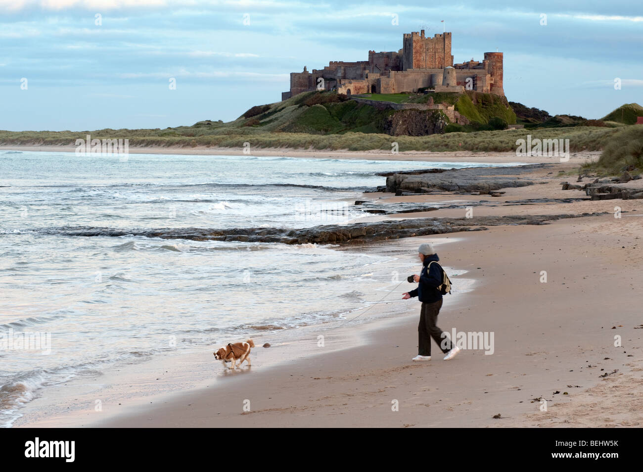 Woman walking a dog on the beach at Bamburgh in Northumberland,"North East",England,"Great Britain","United Kingdom",GB,UK,EU Stock Photo