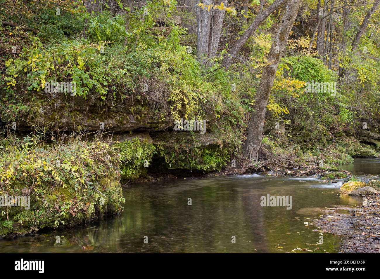 Richmond Spring, Backbone State Park, Iowa Stock Photo Alamy