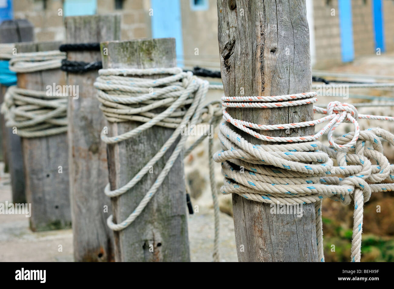 Ropes knotted around wooden mooring posts at Port Racine, the smallest harbour in France at Saint-Germain-des-Vaux, Normandy Stock Photo