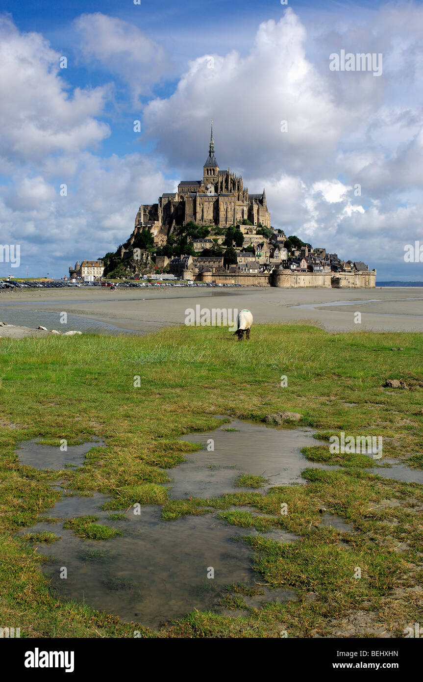 MontSaintMichel (Benedictine abbey). Normandy. France Stock Photo Alamy