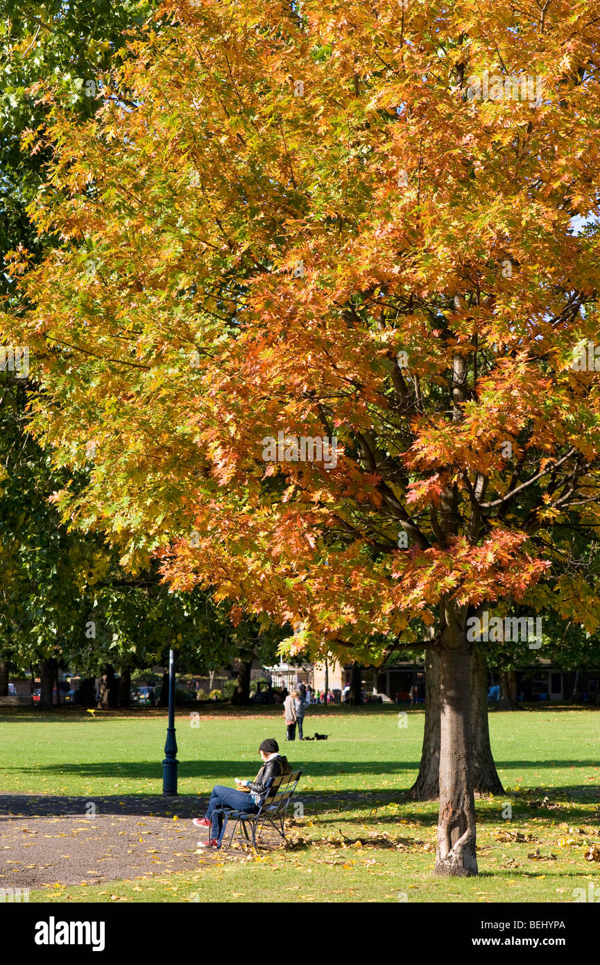 Victoria Park, Hackney, London, United Kingdom Stock Photo - Alamy