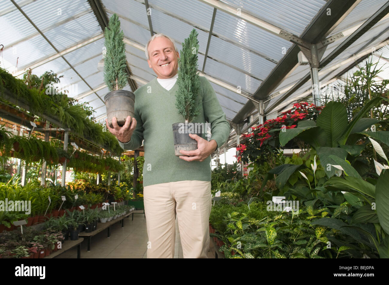 Man holding potted plants in a garden center Stock Photo - Alamy