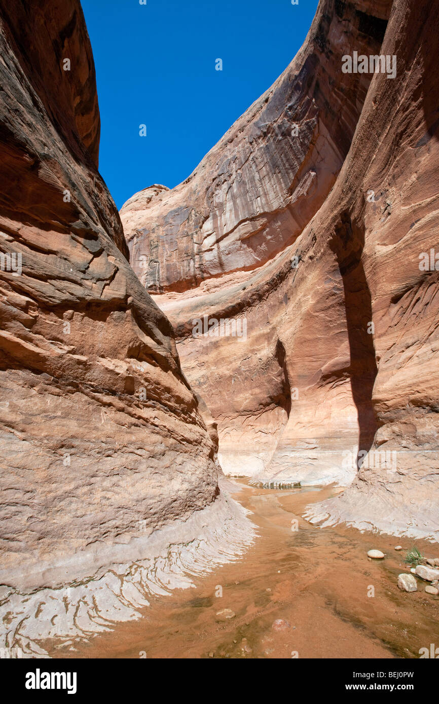 Geology in Glen Canyon National Recreation Area, Utah Stock Photo