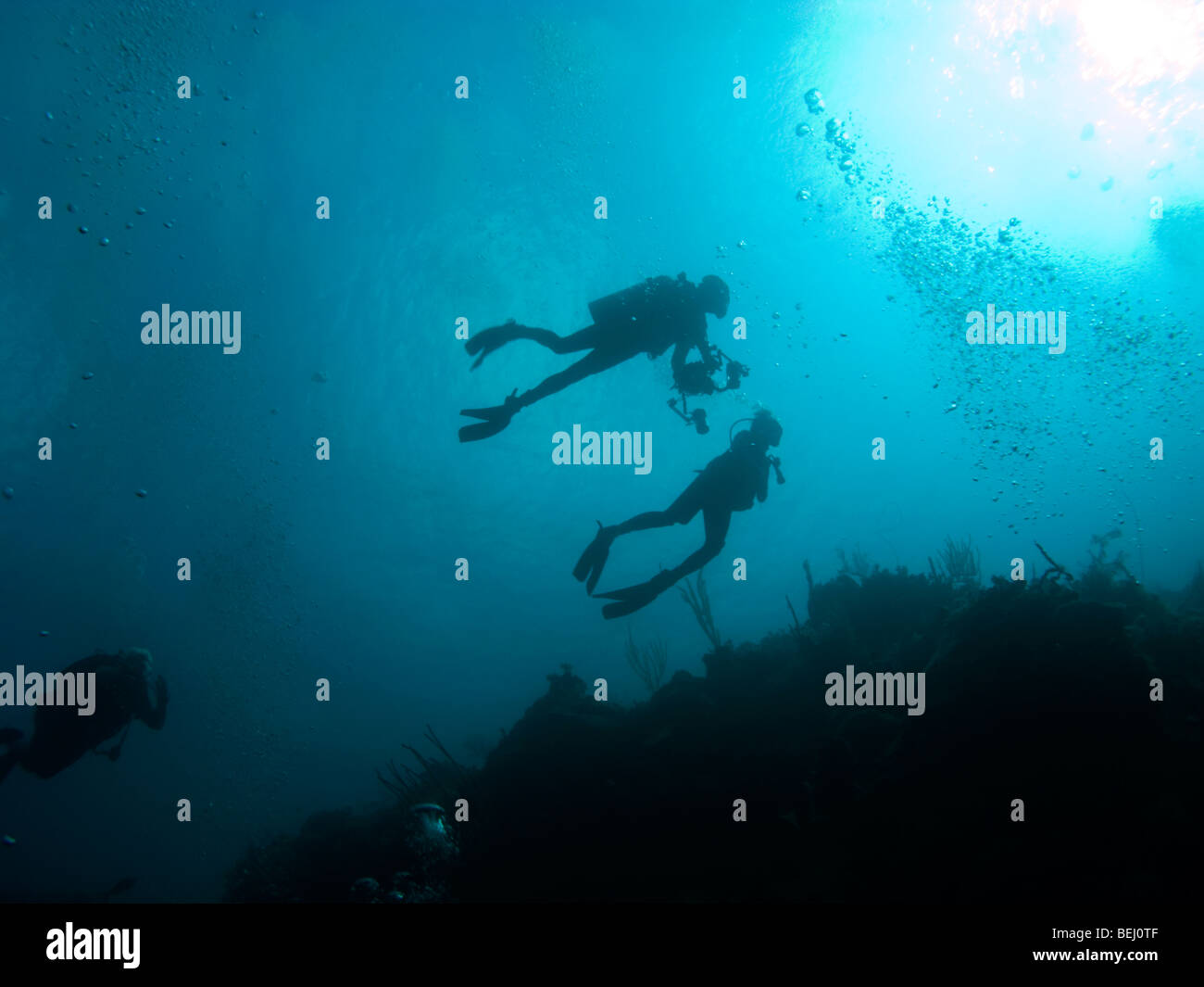 Divers on Wall, Nassau, Bahamas Stock Photo Alamy