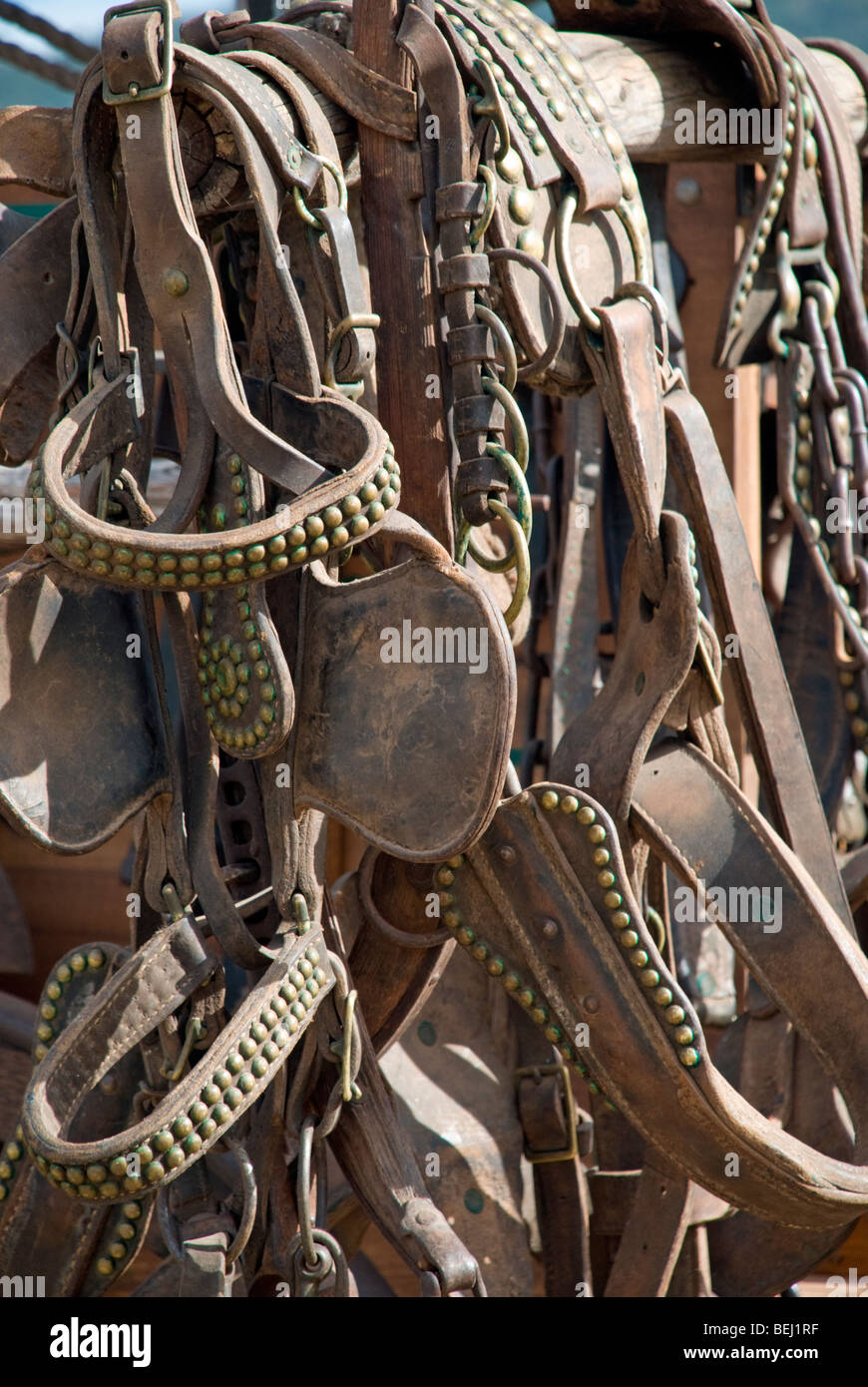 Tack and harness are displayed on one of the chuck wagons at the annual Cowboy Symposium in Ruidoso Downs, New Mexico. Stock Photo
